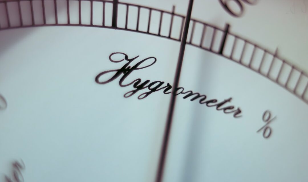 Zastosowanie AI w monitoringu jakości powietrza i prognozowaniu smogu w Polsce: Analiza danych i praktyczne wskazówki dla mieszkańców