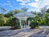 A couple stands under a serene pergola surrounded by lush greenery on a sunny day.