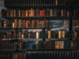 brown wooden book shelves with books