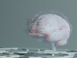 a computer generated image of a human brain