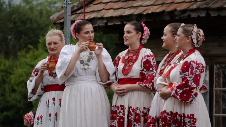 Jak generować autentyczną polską muzykę ludową i historyczną (np. polonezy, mazurki, pieśni patriotyczne) za pomocą Suno, Udio i Beatoven.ai? Zaawansowane promptowanie dla wierności kulturowej.